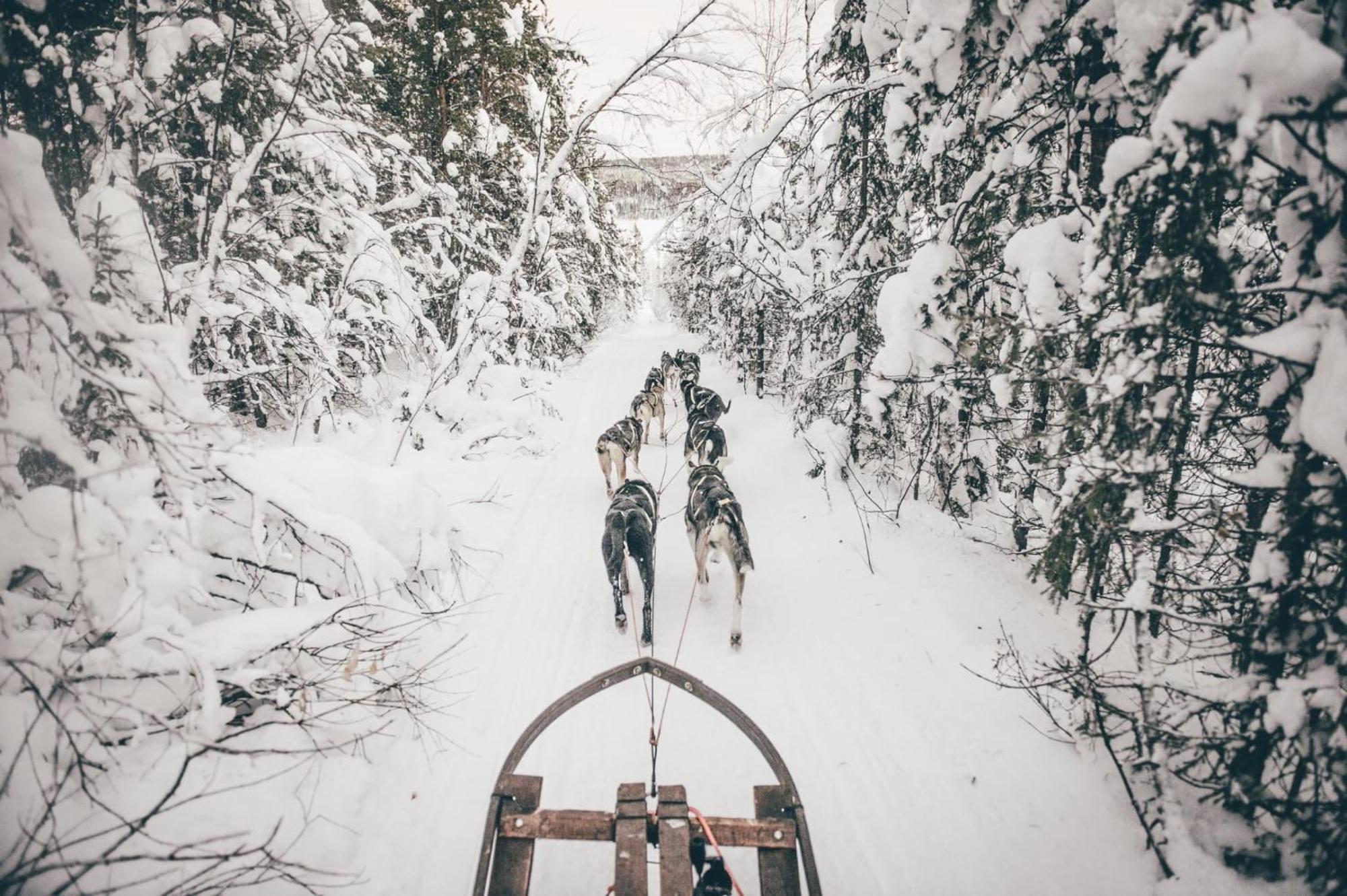 Vila Skog Aurora Igloos Kalix Exteriér fotografie