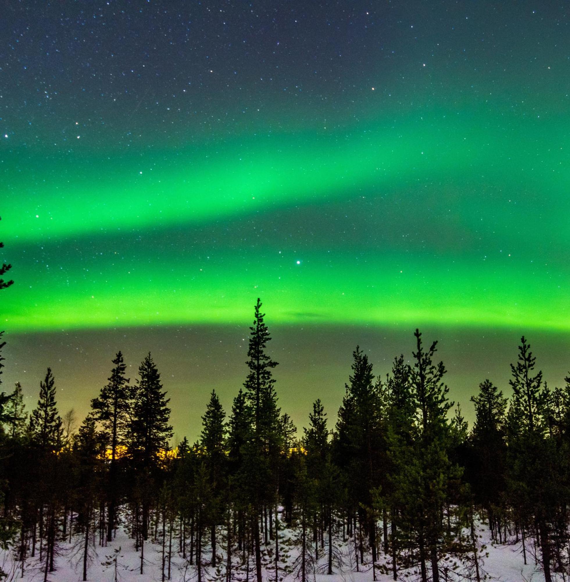 Vila Skog Aurora Igloos Kalix Exteriér fotografie