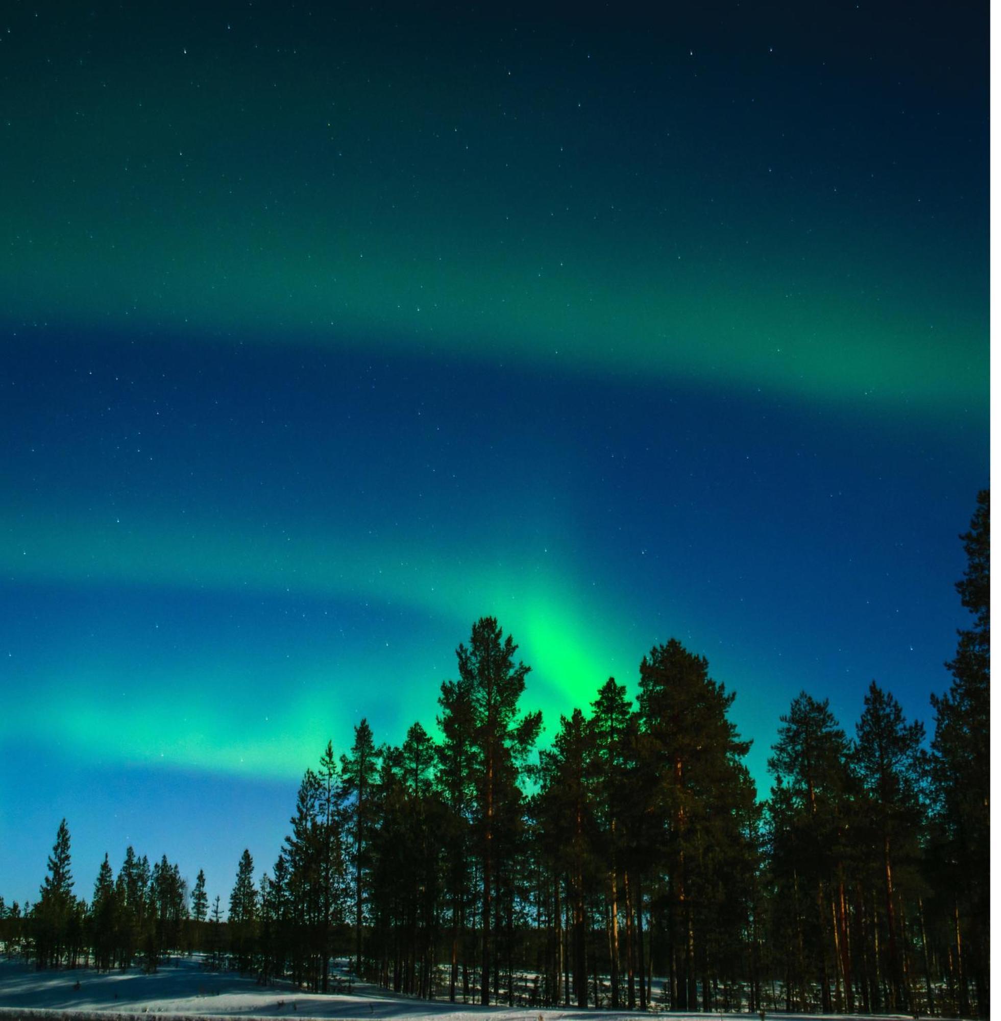 Vila Skog Aurora Igloos Kalix Exteriér fotografie